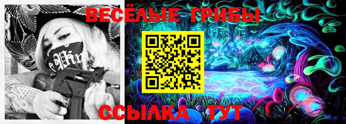 Псилоцибиновые грибы прущие грибы  Галлюциногенные грибы Psilocybe  Саянск  Вход с VPN 