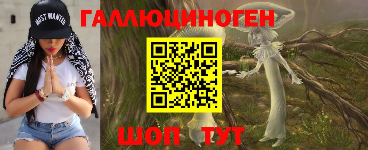 Псилоцибиновые грибы мухоморы Саянск